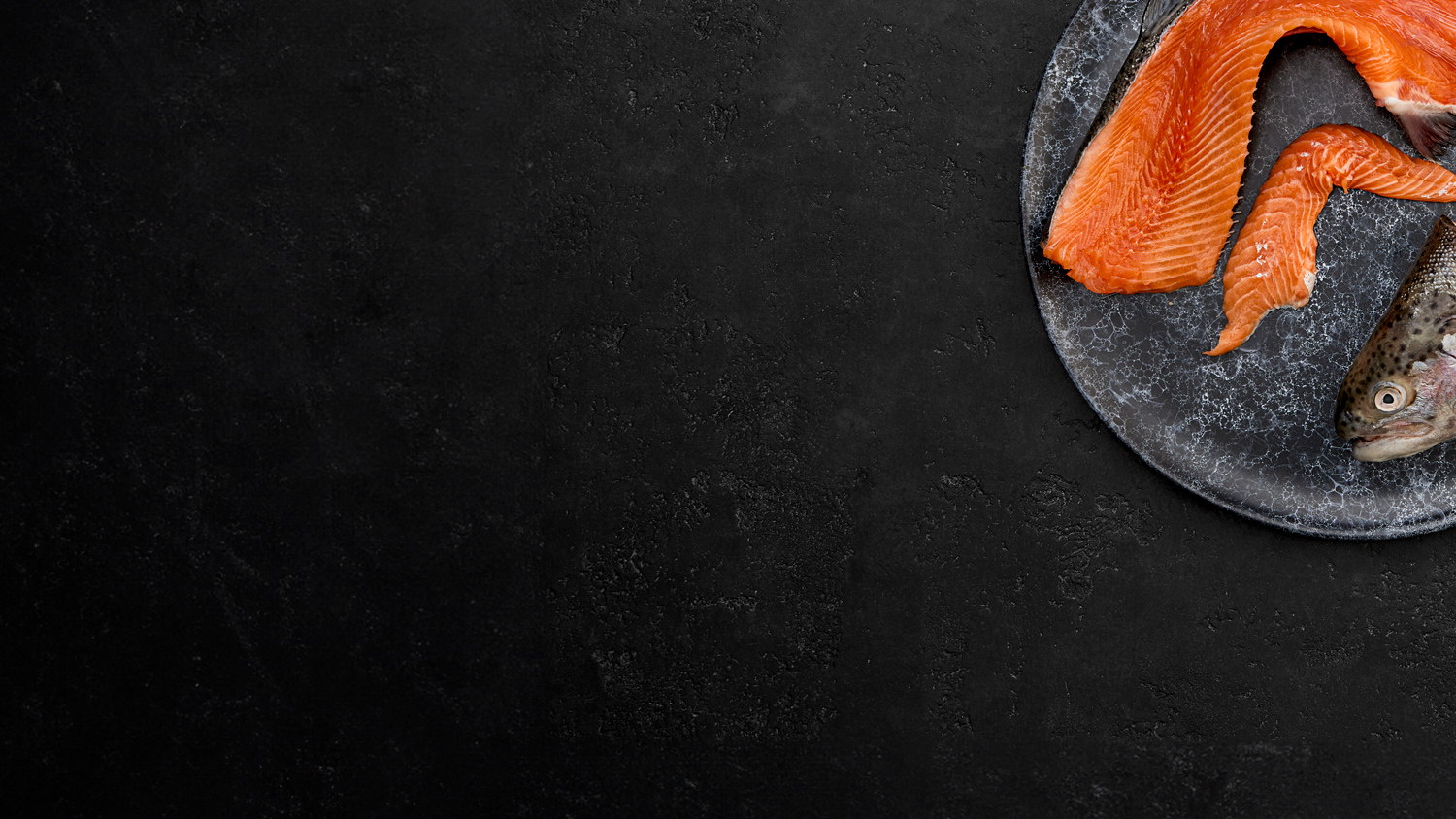 HAILIA’S FISH INDUSTRY INNOVATION RECOGNIZED AS A TOP CIRCULAR SOLUTION AT WORLD CIRCULAR ECONOMY FORUM